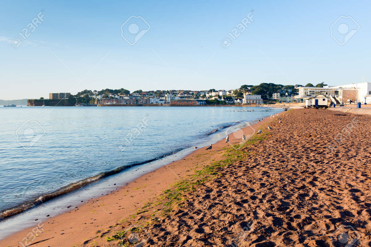 おすすめデヴォン観光スポットゲットユアガイドGetYourGuide