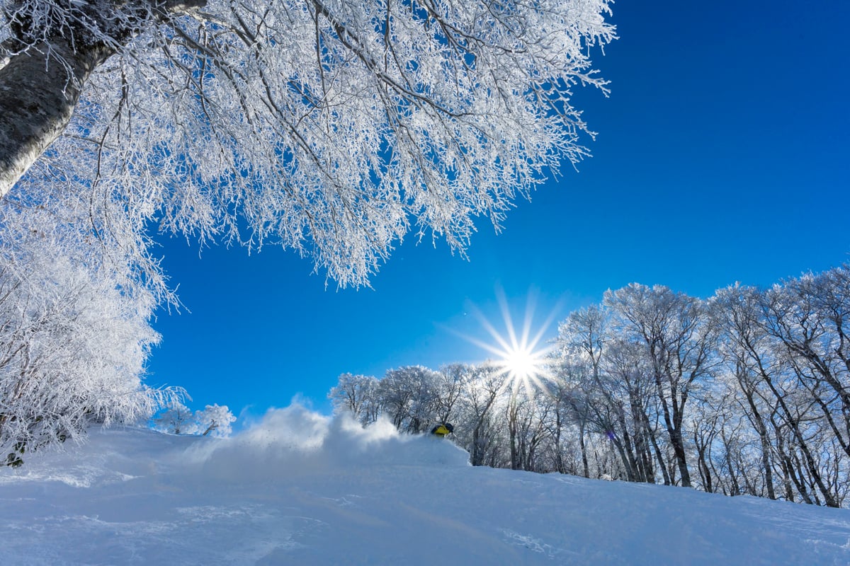 長野観光モデルコース1泊2日冬善光寺とスノーモンキーが楽しめる旅VELTRA旅行ガイド