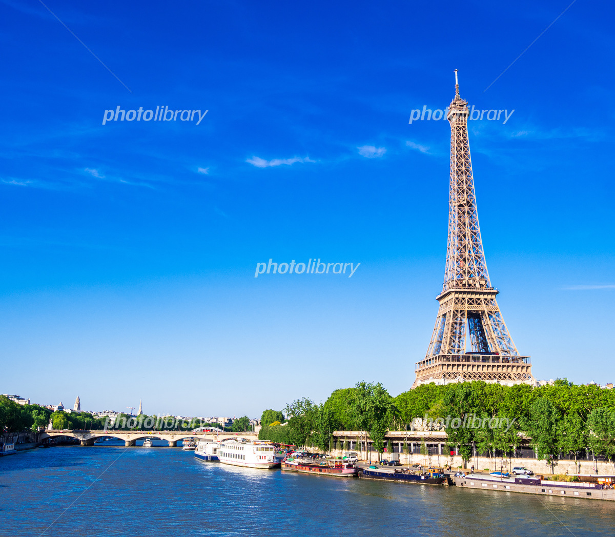 セーヌ川の流れシリーズ - ノートルダム・ド・パリ大聖堂