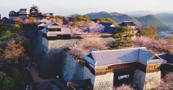 夕食はお部屋 四国×女子旅に人気の宿 ホテル・旅館 ランキング -