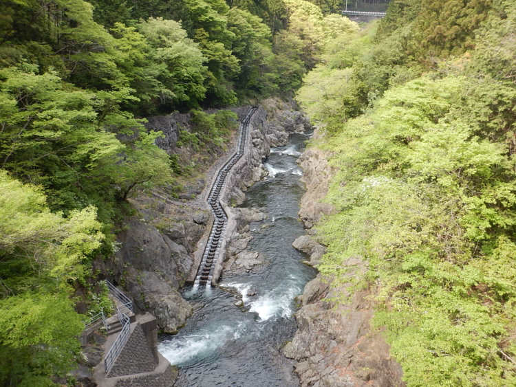 白丸魚道東京とりっぷ