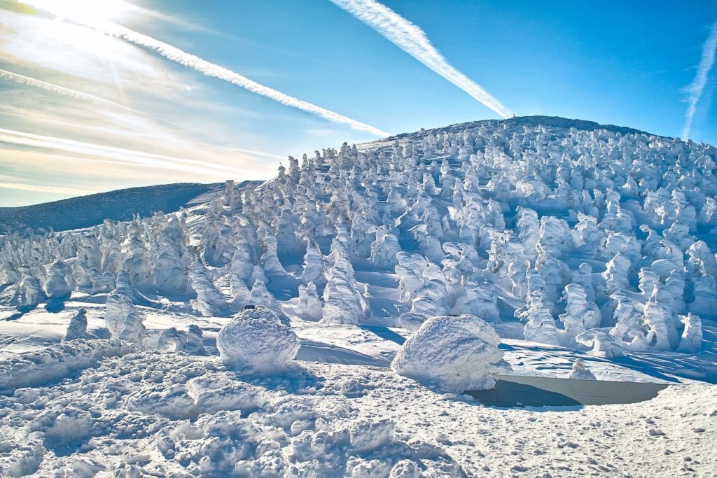 一生に一度は見たい、東北の冬の絶景を紹介！雪国ならではの自然の芸術を楽しもうびゅうトラベル JR東日本