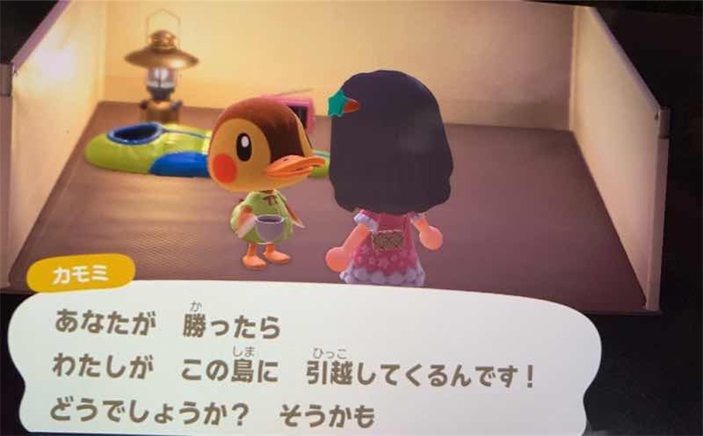 あつ森 キャンプサイト厳選2週目でちゃちゃまるをお迎えするまでの記録とやり方 - 夜間飛行