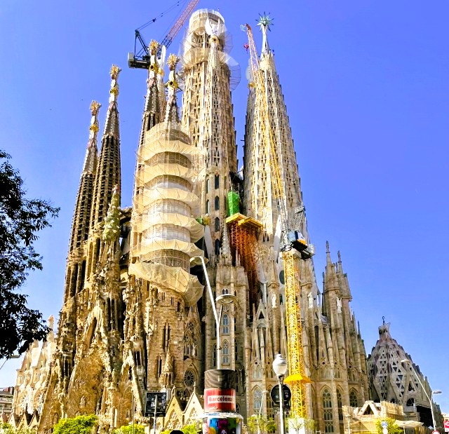 2025年春 最新版 完全解説