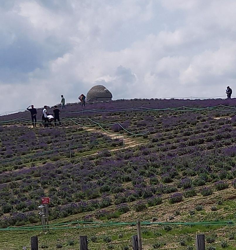 真駒内滝野霊園で33体のモアイ像と大きな大仏に会いに