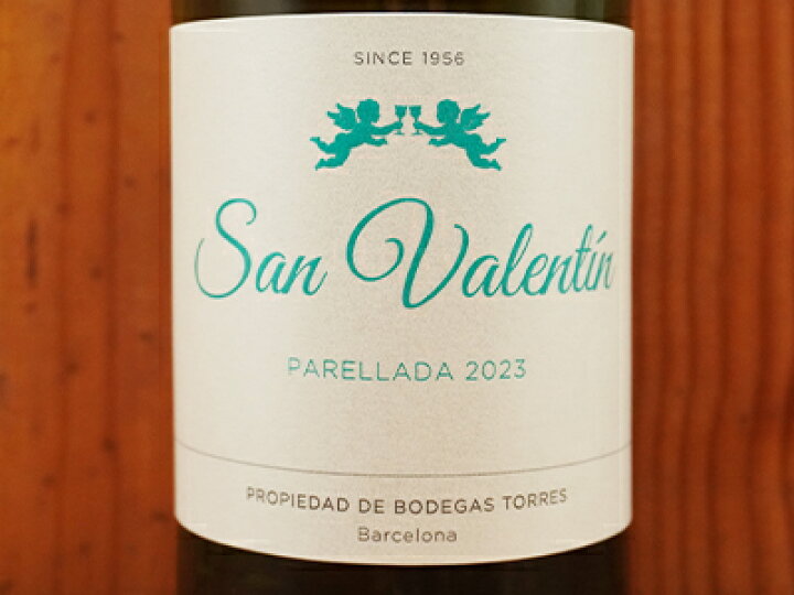 ミゲル・トーレスサッカーキング