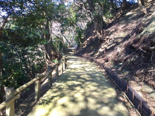 戦国の城を攻める ～明智光秀ゆかりの城編⑤ 金ヶ崎