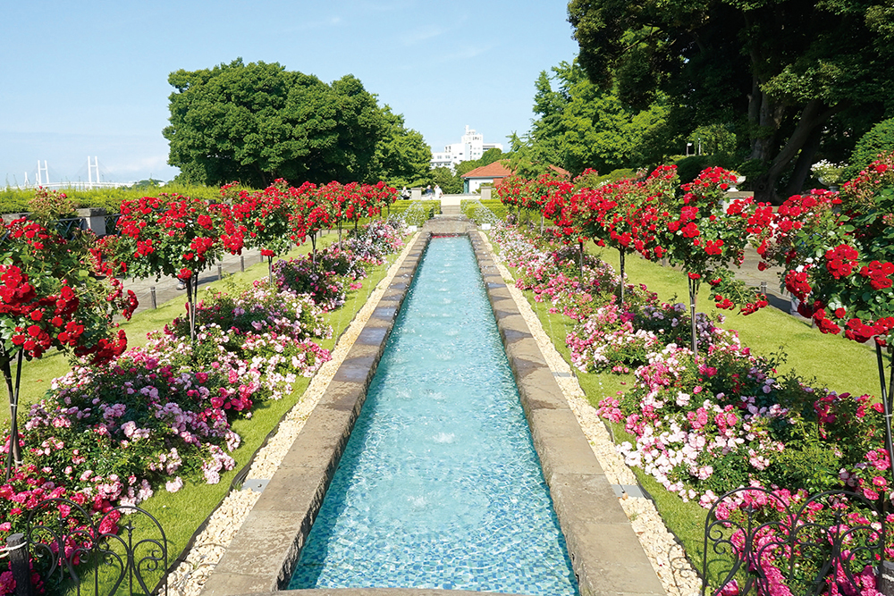 横浜西洋館♪山手イタリア山庭園コースを撮影さんぽさんぽmichi