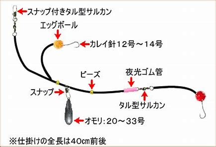 北海道でカレイ釣り！釣れない冬の時期でも釣れた！親子で海釣り