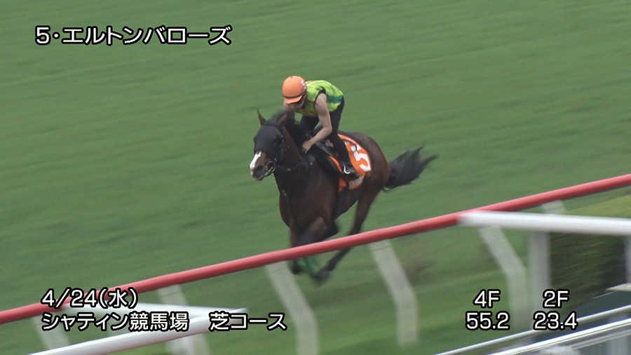レース結果・回顧：2019年コーフィールドカップ 海外競馬発売 JRA