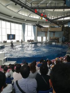 冬至の時期に見ることのできる絶景！大洗磯前神社の日の出が神々しかった神社の図鑑