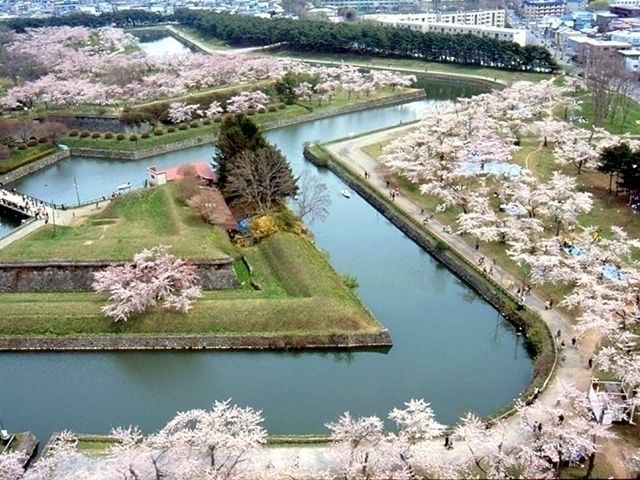 五稜郭 函館桜・お花見の名所ツアー2025阪急交通社