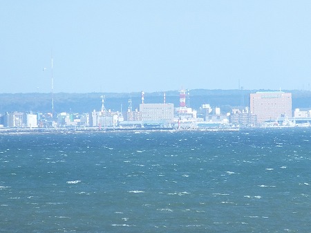 幸島でサーフィン🏄‍♀️🐒 野生の猿も見れたし、波も最高でした😍宮崎最高😀サーフィン女子宮崎幸島夏休み