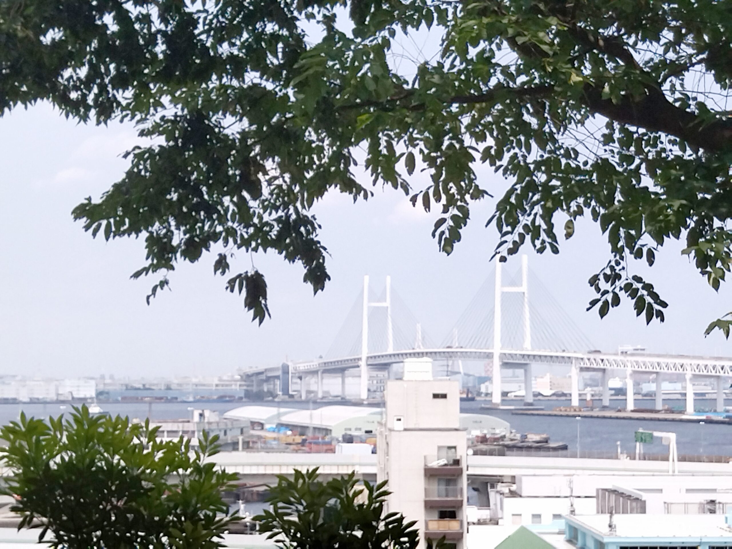 港の見える丘公園駐車場ラントリップ