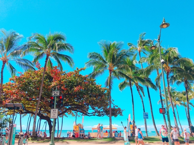 保存版 ホノルル旅行で絶対に行きたい！おすすめの観光スポットTOP30！NEWT ニュート