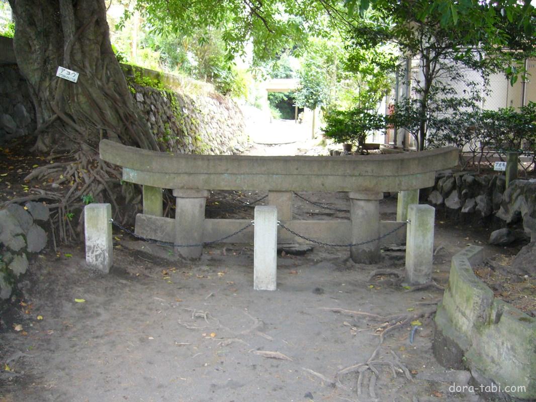 桜島 黒神埋没鳥居 10922000588 の写真・イラスト素材アマナイメージズ