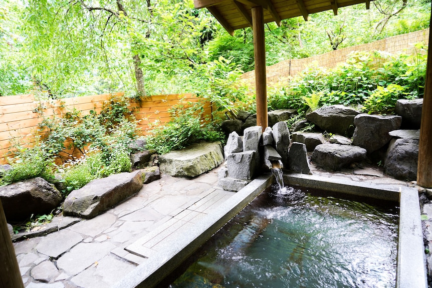 ペンション朝ねぼう みなかみ を予約