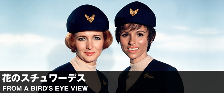 スチュワーデスからキャビンアテンダントへ職名が変化した理由とは時代背景によるものだったCA留学なら CA専門.com サポート料0円で賢くCA 留学準備