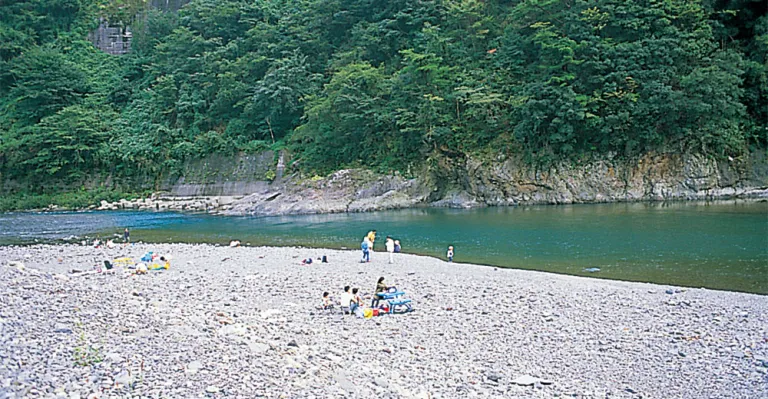 つり橋の里キャンプ場🏕 桜何とか残ってた👌つり橋の里キャンプ場谷瀬の吊り橋花見キャンプ十津川村お座敷スタイルモーニンググローリーtcマリポササバティカルdiyキャンプdiyキャンプギアランタンハンガー自作dietz78dietz真鍮ランタン