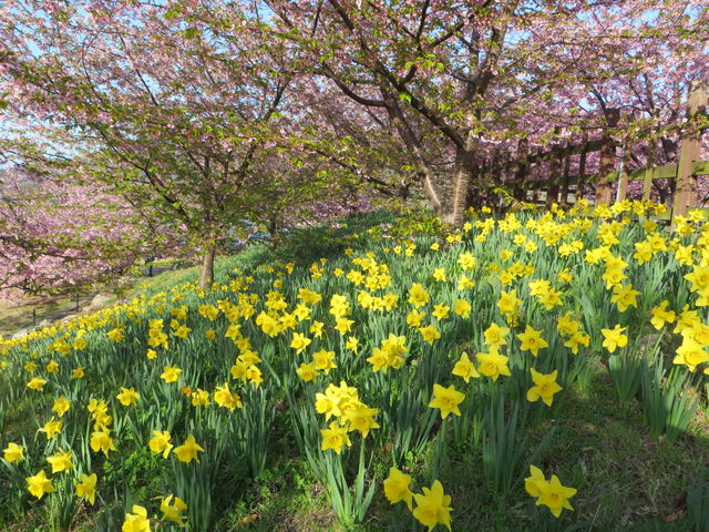 国史跡三戸城跡 城山公園スポット・体験 公式