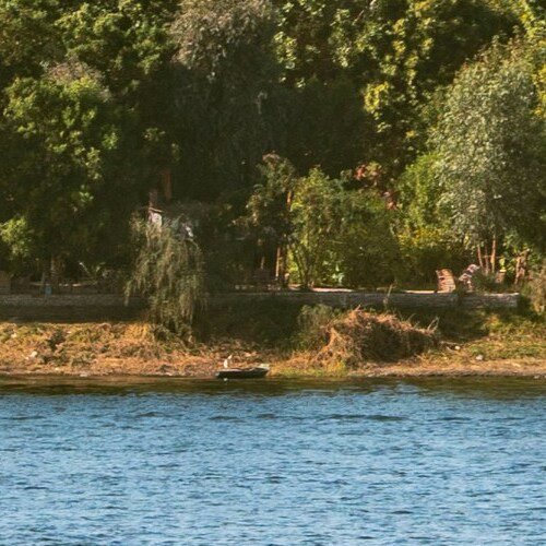 メムノンの巨像 チケット＆ツアーゲットユアガイドGetYourGuide