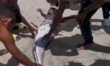 人魚伝説のあるイギリスのコーンウォールのゼナー村の人魚の入り江といわれてるペンダー・コーヴ -アラフィフからの海外一人旅＆アラフォーからの沖縄離島一人旅