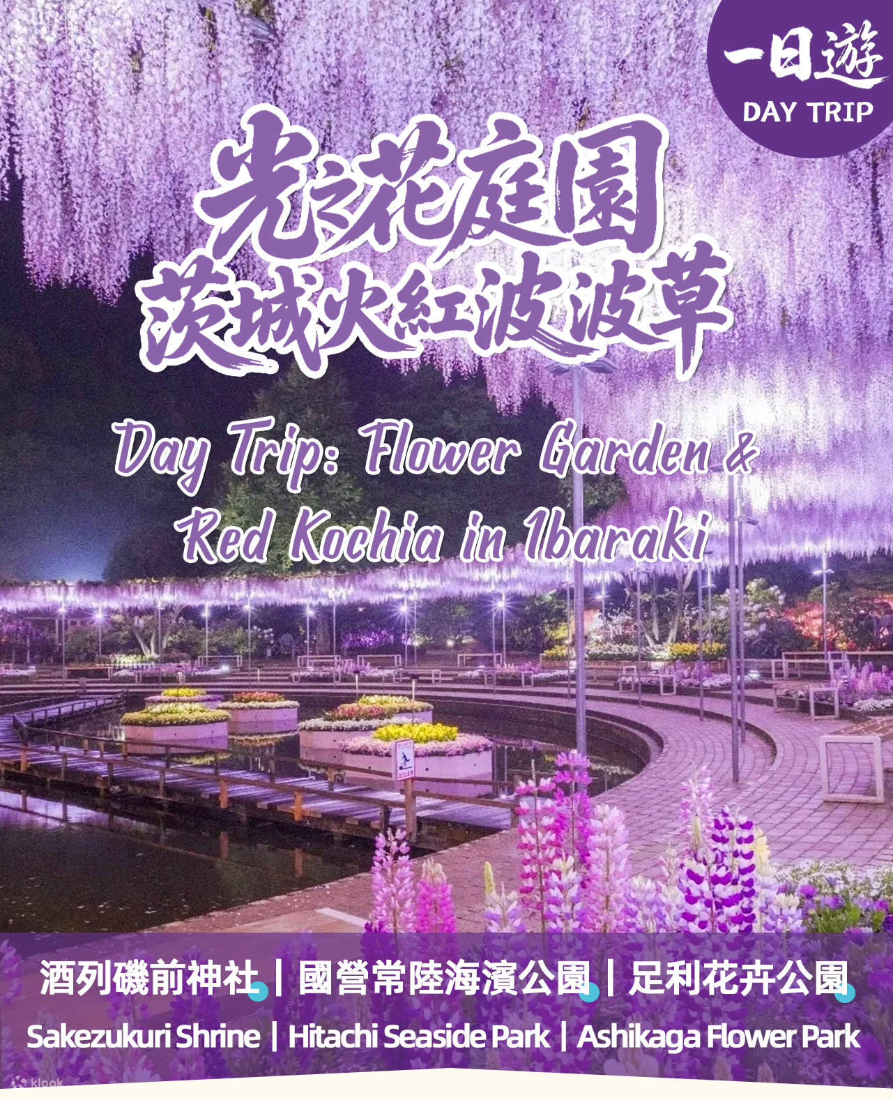 栃木の旅④ 日本三大イルミネーション｢あしかがフラワーパーク」光の花の庭 Flower Fantasy 2023-2024』足利