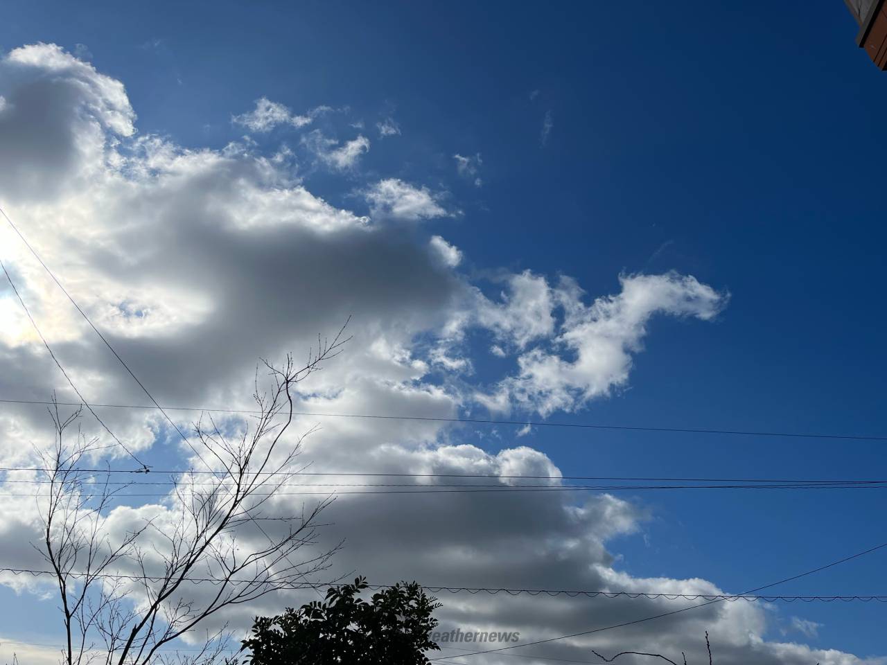 旬を味わう！季節ごとに楽しい 牧場ソフトクリーム専門店 鳥栖「dairy