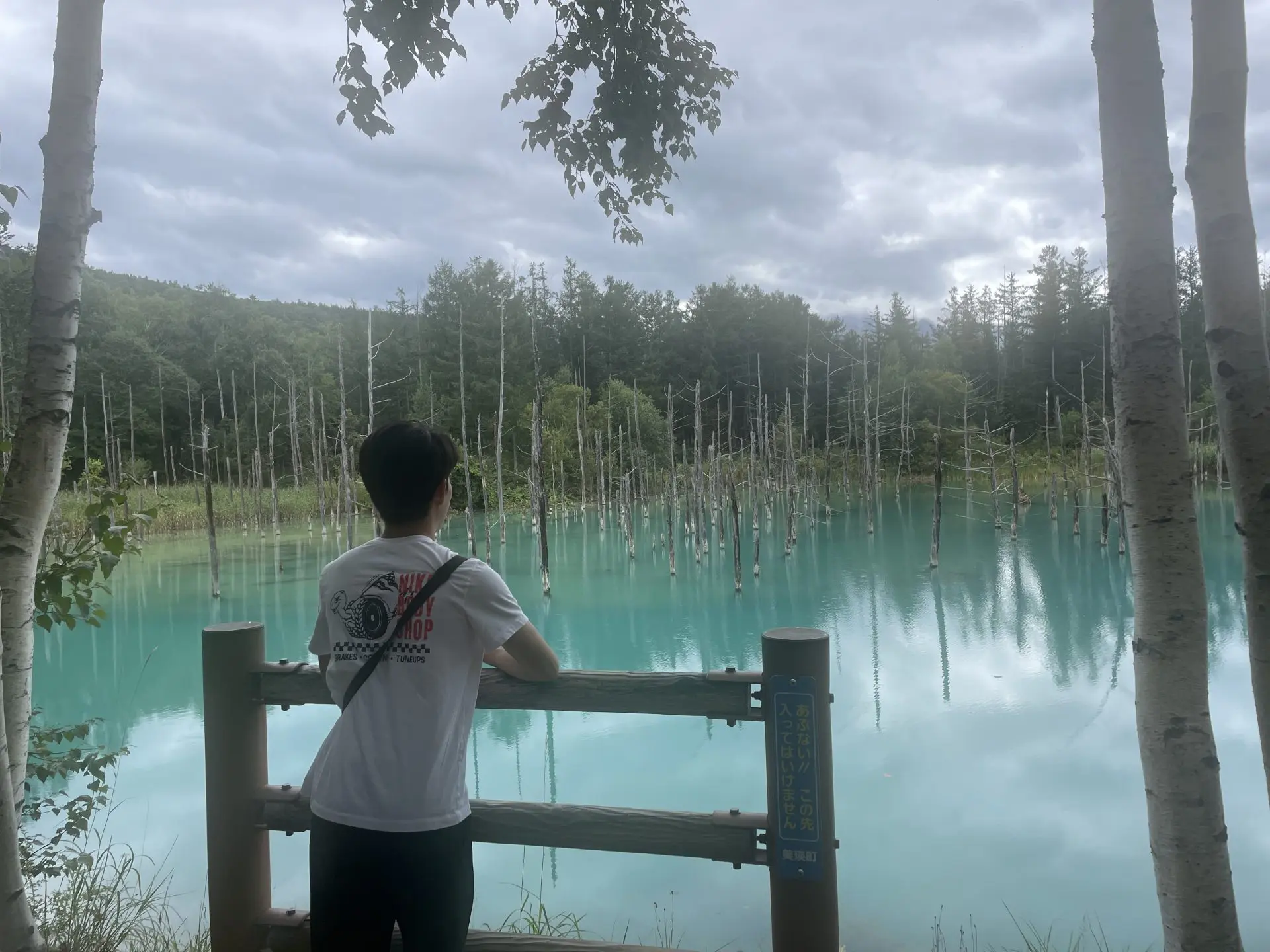 北海道 ニセコ リゾートバイトで国内留学！友達ができるので1人でも心配もありません - リゾートバイトの体験談・口コミ・評判リゾートバイト.net