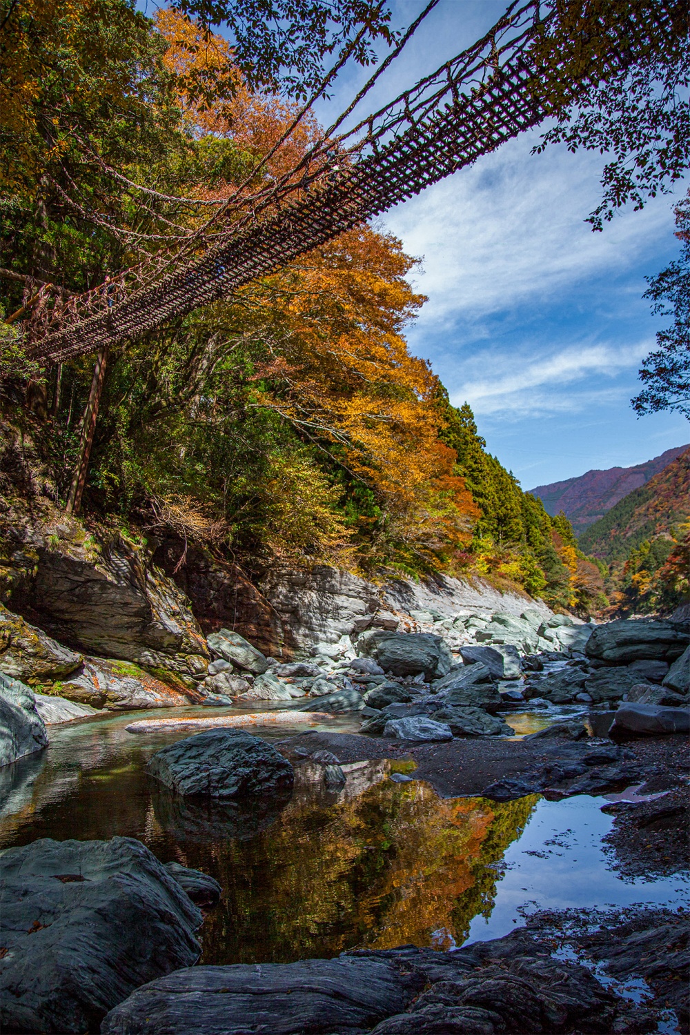 貸切徳島日帰りツアー 大歩危・祖谷エリアを巡る！ 大歩危＆小歩危＋かずら橋＋平家屋敷＋小便小僧＜選べる出発時間