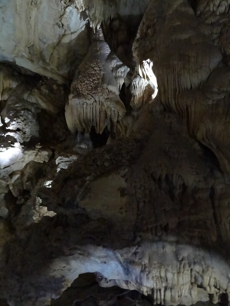 2024年12月 グヌン・ムル国立公園内の宿泊施設の予約方法＜難易度高め＞ - つめこみトラベル