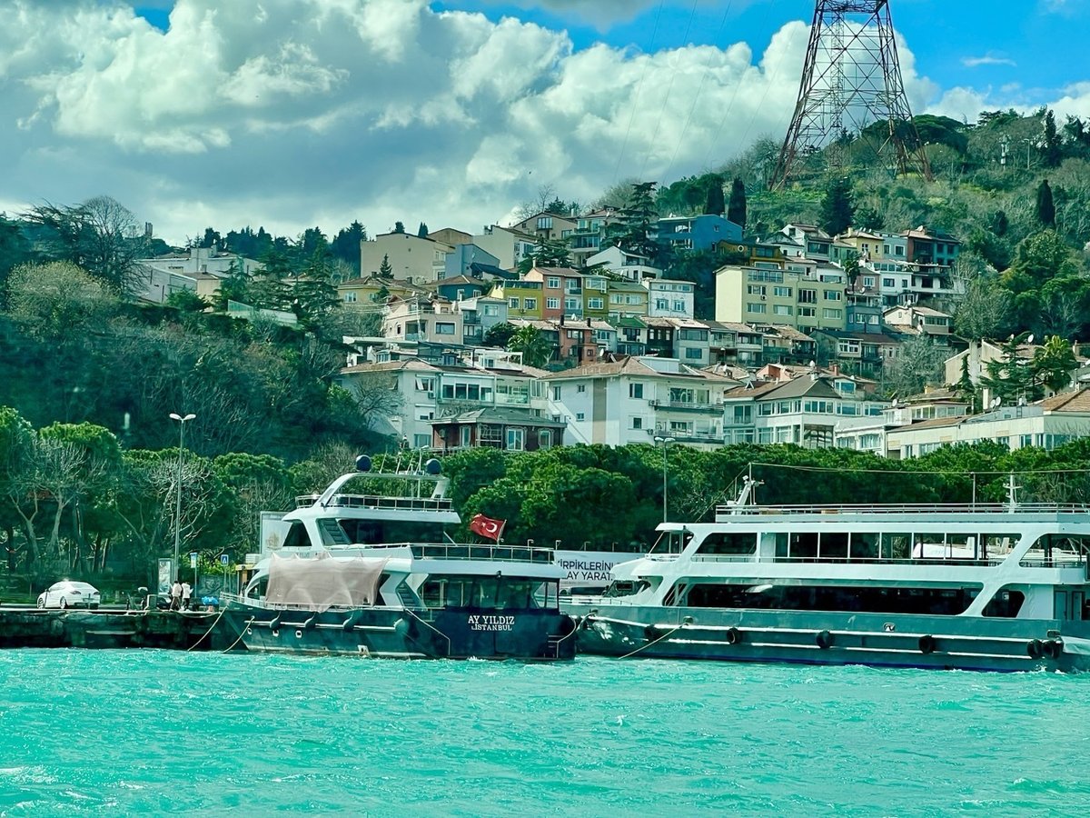 ボスポラス海峡 ディナークルーズ ＜民族ダンスショー付き イスタンブール発＞トルコ