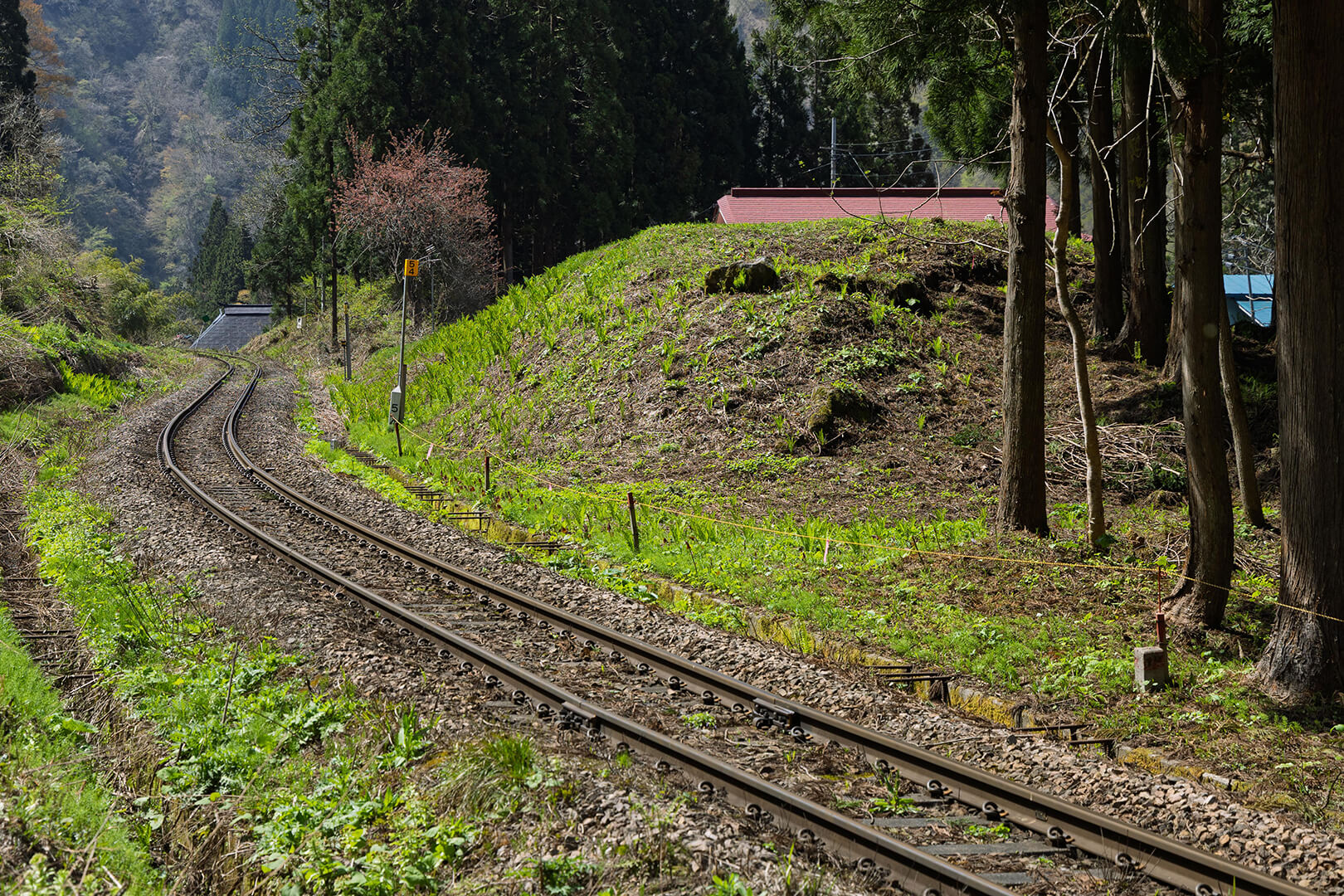 tomo.K. 〜ある日の只見線〜ある日の只見線。 めがね橋にて。 早戸駅〜会津水沼駅