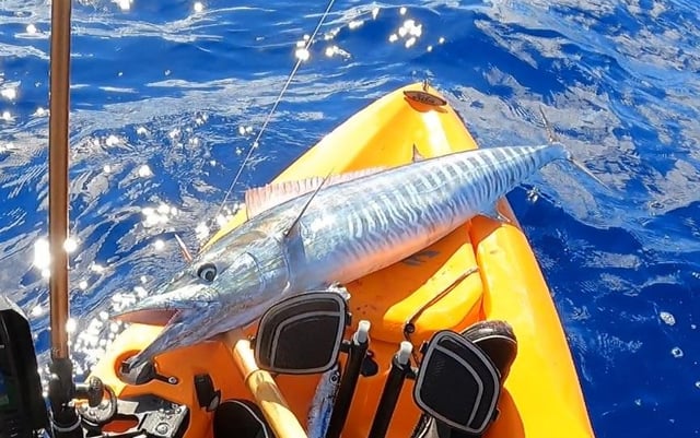 ハワイ語 名前 男の子TikTok