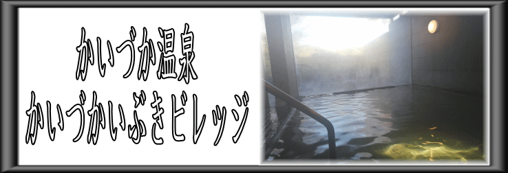 かいづか いぶき温泉 大阪府貝塚市- サウナイキタイ