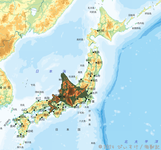 日本と韓国の地図 - 地図のベクターアート素材や画像を多数ご用意