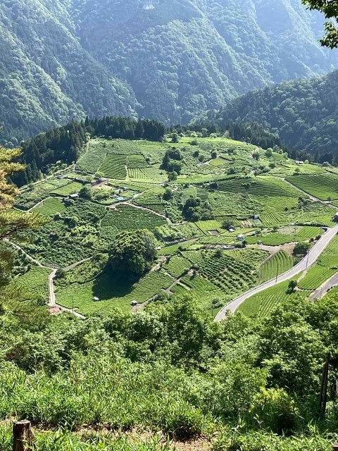 レンタサイクルで「岐阜のマチュピチュ」を目指す - ネコと夜景とビール