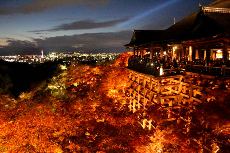 2025最新 清水寺の見どころ紹介！紅葉&桜のライトアップ情報も -