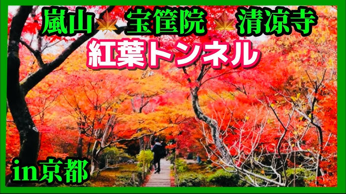 地図・アクセス - 宝筐院の紅葉