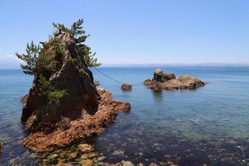 美保関町の美保神社へ行く途中の海岸道路沿いにある男女岩 めおといわ と、反対側の島根半島 山の斜面に咲き誇るフジの花🌼が綺麗でした✨😊🌊男女岩後方には大山