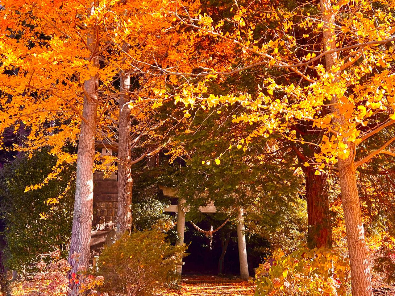 永源寺もみじ寺＠大子町大子せかんどの、主にバイクと食べ物ブログ
