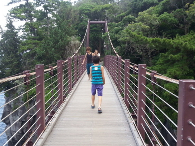 伊東・城ヶ崎海岸 早朝がおすすめ！つり橋や自然観察路を歩く約40分コース - テレしずWasabee わさび