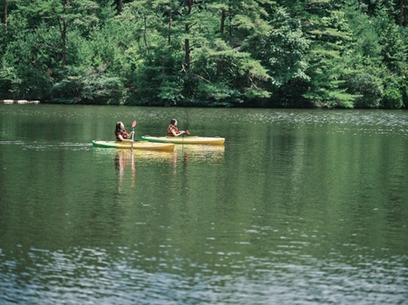るり渓自然と触れ合うアクティビティ自然公園には珍スポットも！ゼロから始めるアメブロ起業