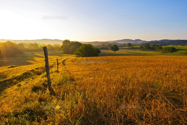 リムーザン コレーズ地方 サンプル日程フランス乗馬ツア