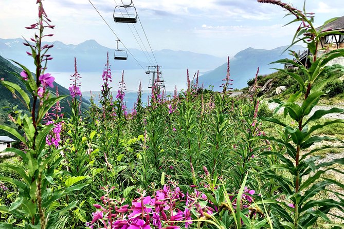 世界一周クルーズ「スワード入港・観光・出港」Zenpaku