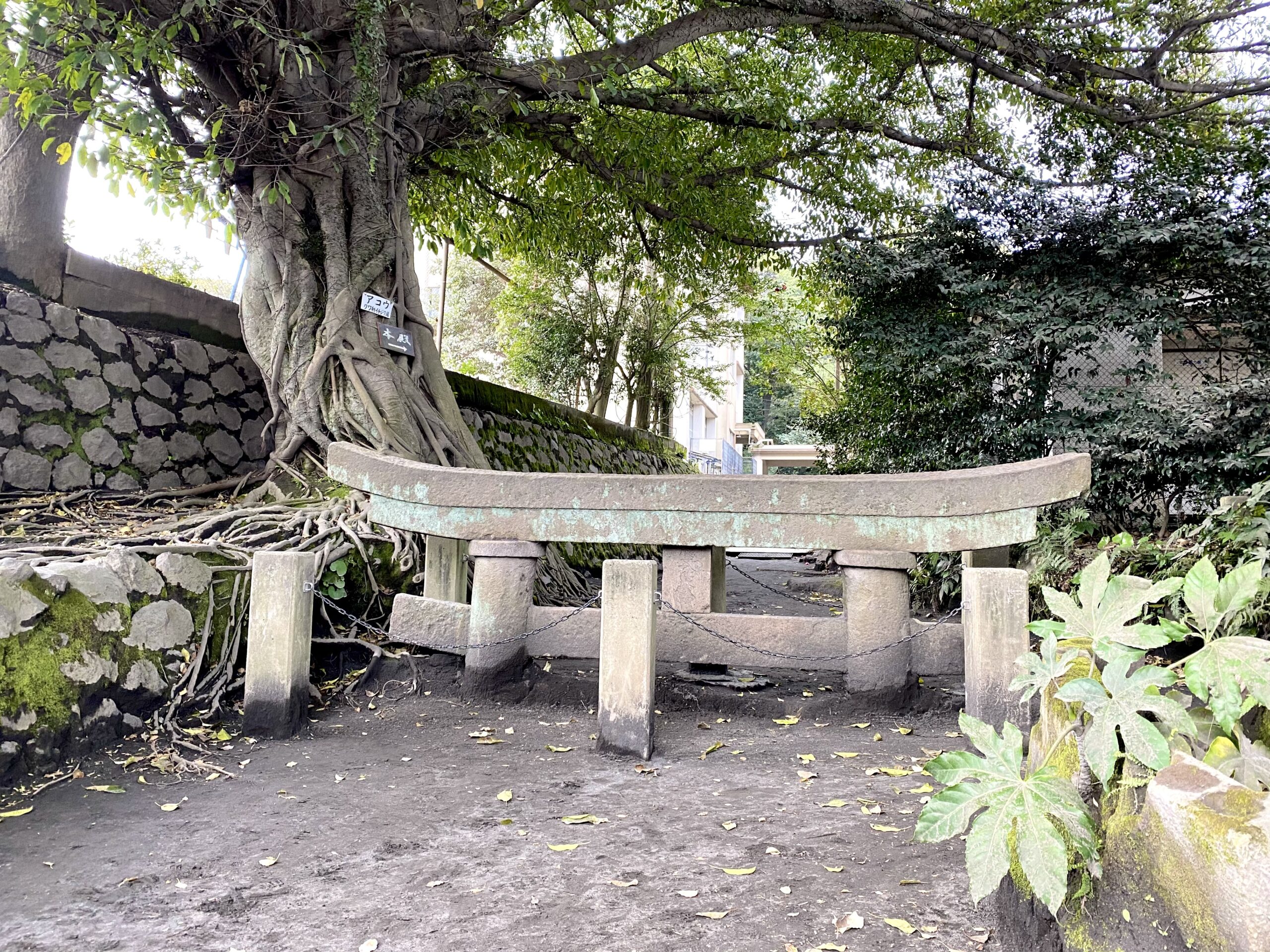 腹五社神社 黒神埋没鳥居 の御朱印情報～埋没した氏神さま～