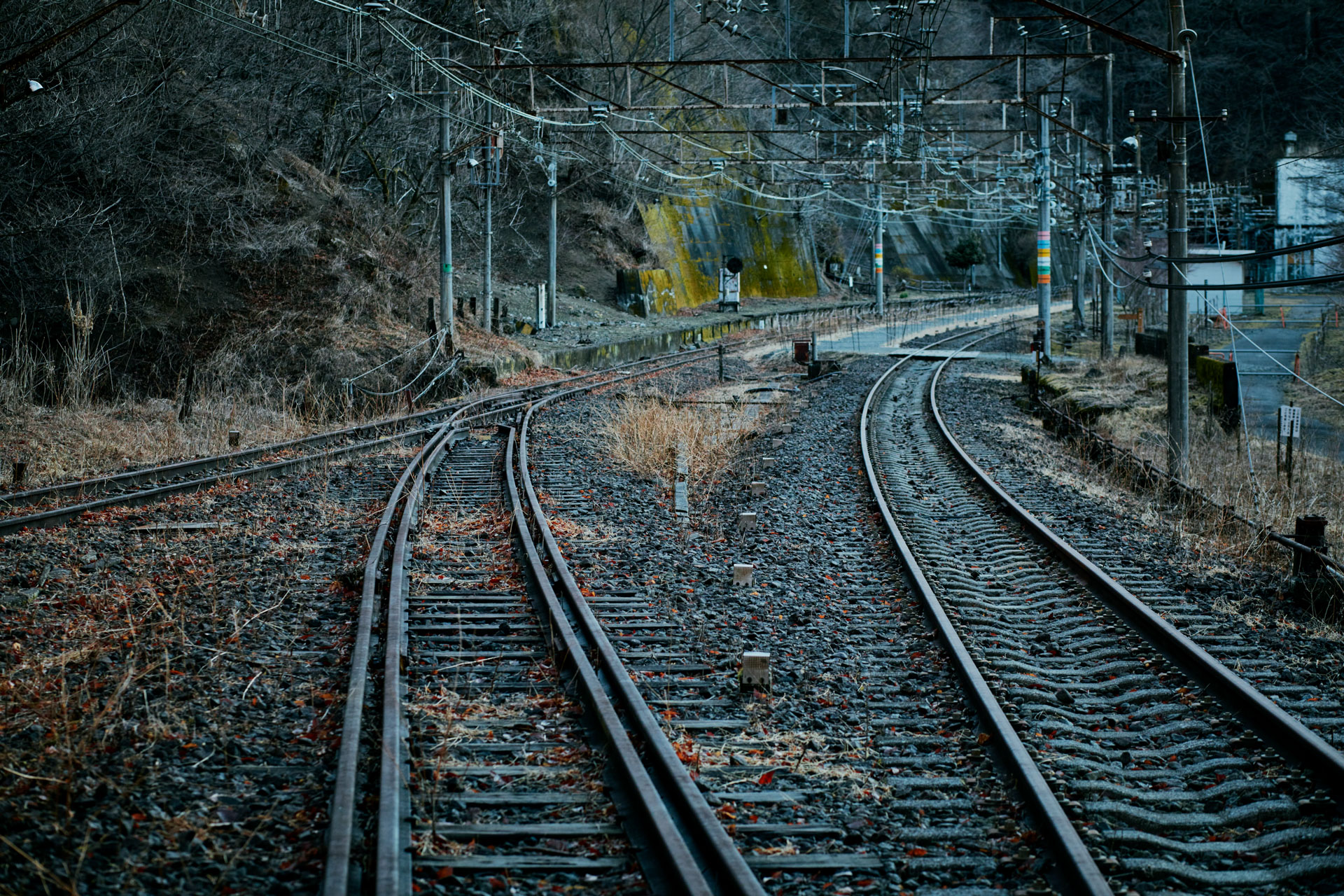 鉄道ファンの「今訪れてみたい廃線」ランキング 2位は東急東横線旧線、1位は？ -