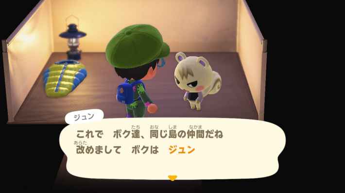 あつ森の、ランキング表集めてみました！ssランク持ってる人〜！TikTok