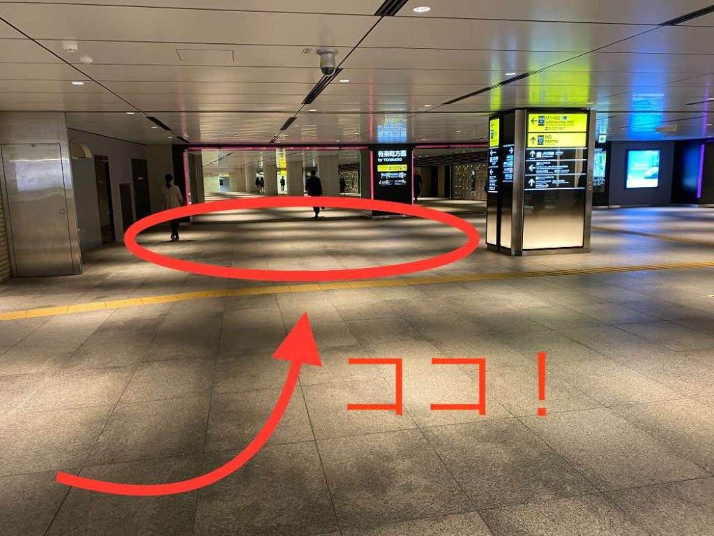 東京駅「団体集合場所 学生用 」への行き方丸の内南口地下 地図教えたがりダッシュ