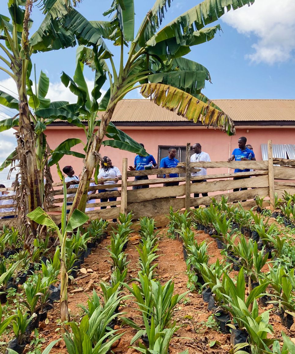 パーム油の問題ウータン・森と生活を考える会HUTAN Group